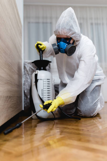 Best Bed Bug Extermination  in Mills River, NC